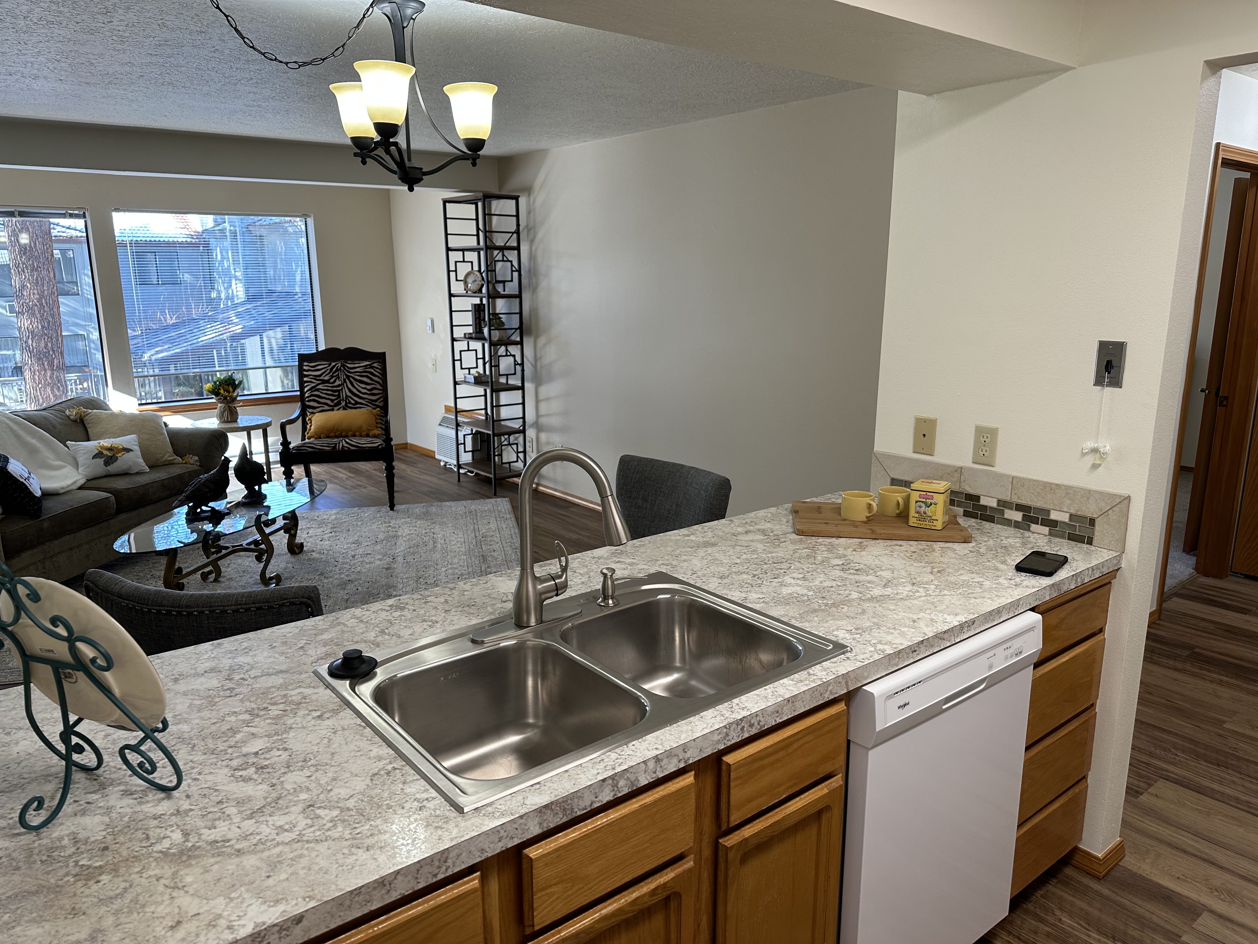 Kitchen and living room area