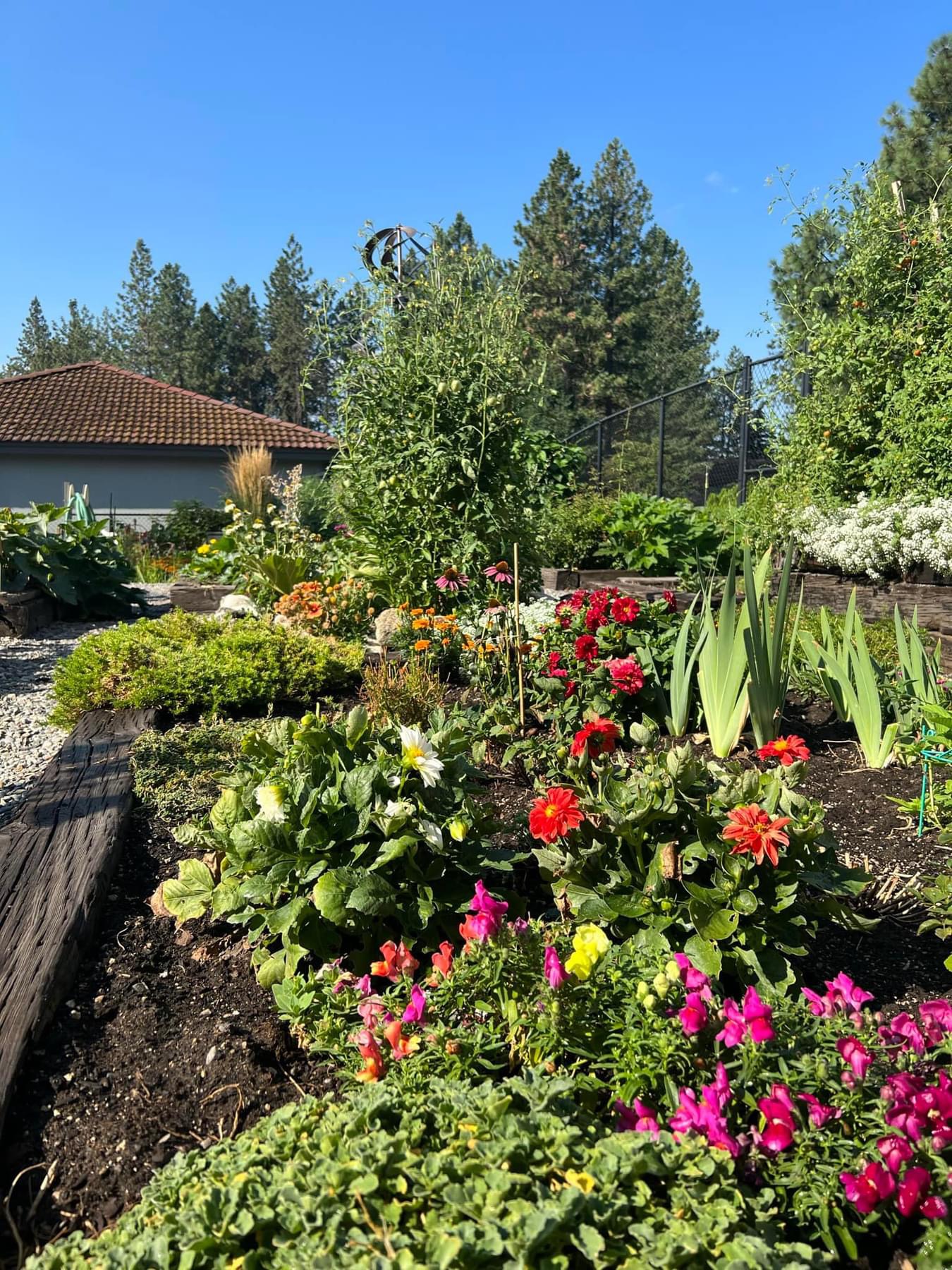 community garden at fairwood village